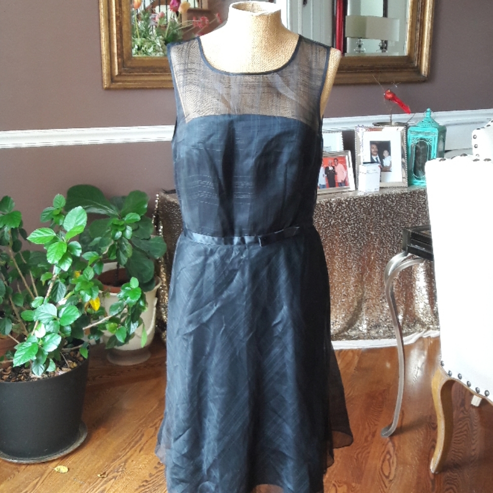 Express Dress - Picture 3 of 8